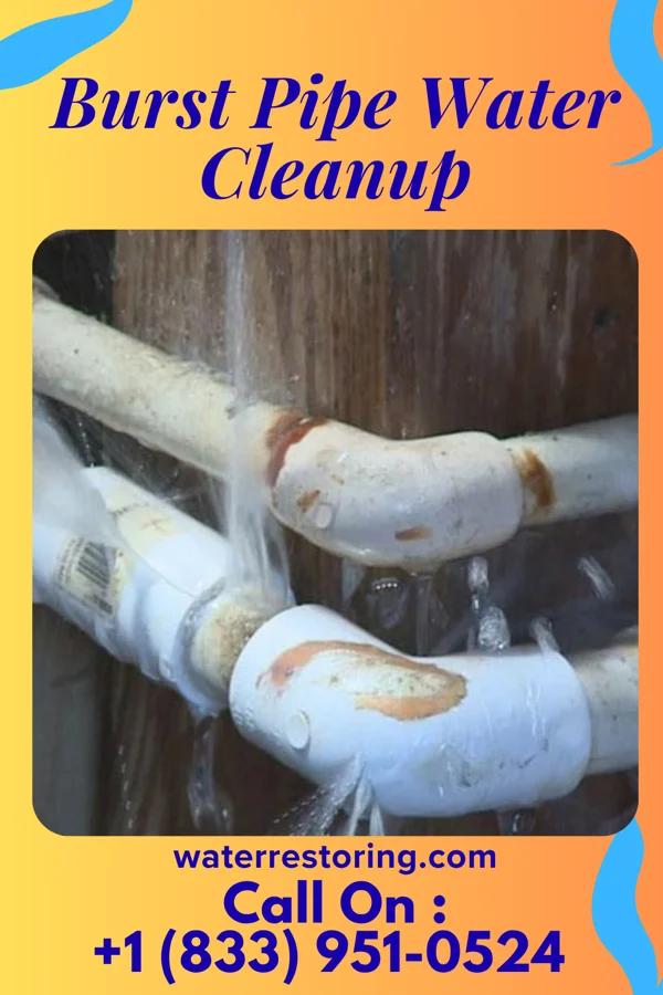 Burst Pipe Water Cleanup in Seadrift, TX