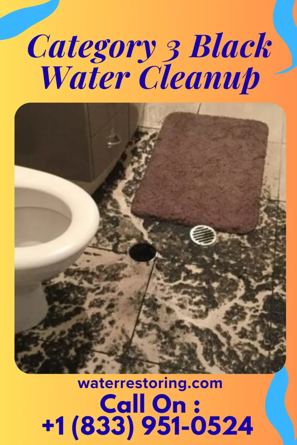 Category 3 Black Water Cleanup in Seadrift, TX