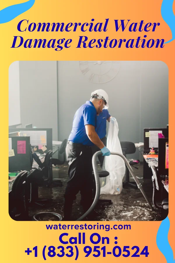 Commercial Water Damage Restoration in Seadrift, TX