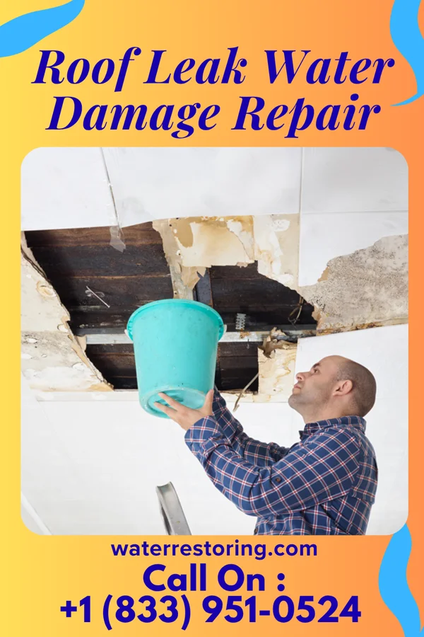 Roof Leak Water Damage Repair in Seadrift, TX